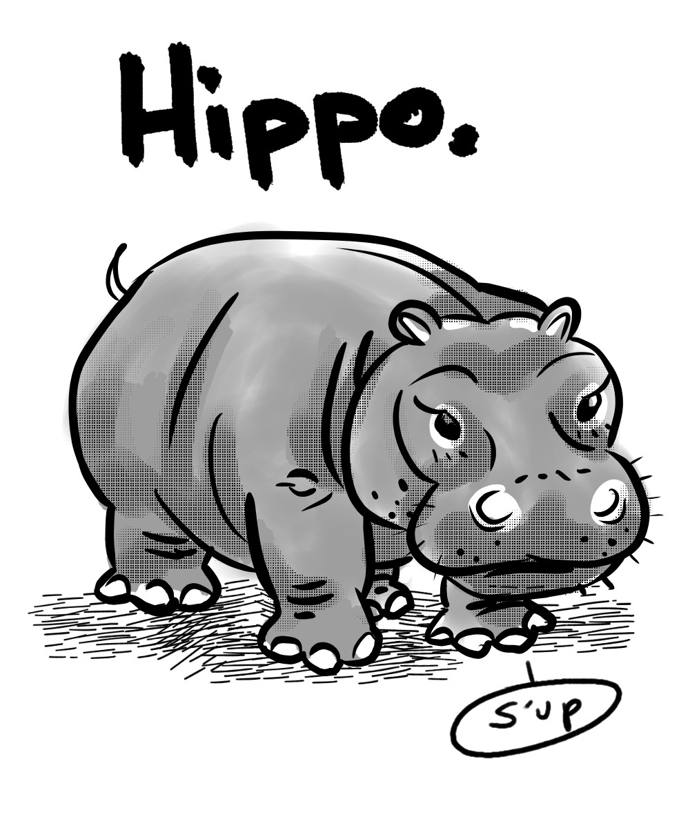 Hippo