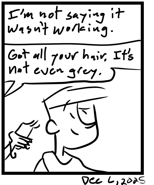 A four-panel comic about a person getting a haircut - Panel 4