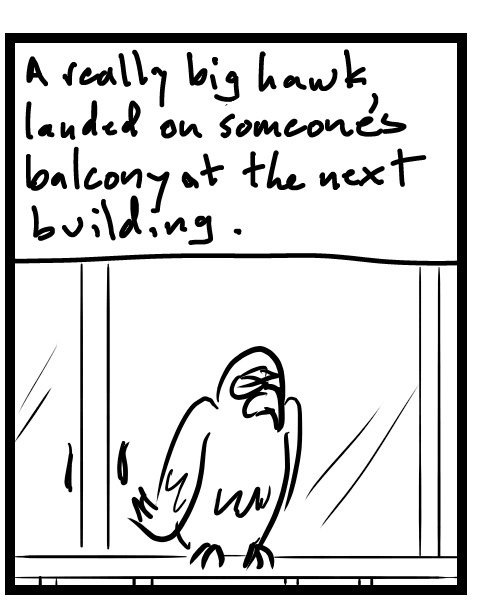 A four-panel comic about a person looking at a falcon perched outside - Panel 2