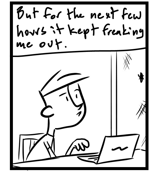 A four-panel comic about a person trying to decide what to do about a cicada bug on the screen door - Panel 3