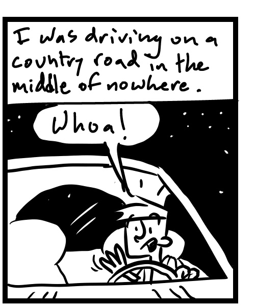 A four-panel comic about a person driving on a country road and thinking he almost hit a deer - Panel 2